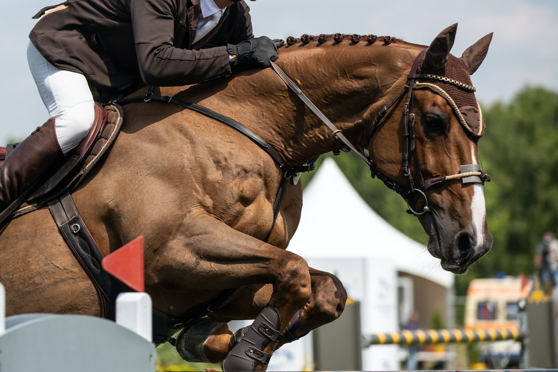 Horse Jumping, Equestrian Sports, Show Jumping themed photo.